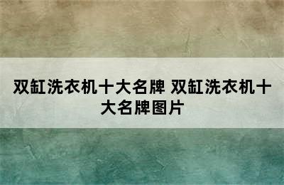 双缸洗衣机十大名牌 双缸洗衣机十大名牌图片